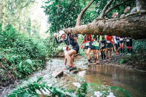 BIB: 
                            <button type="button" onclick="openModal(25516471)" class="btn btn-primary btn-sm float-right btn-popup" data-toggle="modal" data-target=".modal-high-quality">
                        <i class="fas fa-shopping-cart"></i> Add to Cart
                    </button>
                                            <button type="button" onclick="isThisMe(25516471, true)" class="btn btn-success btn-sm float-right btn-popup btn-isme hidden" data-toggle="tooltip" data-placement="bottom" title="นี่คือรูปของคุณใช่ไหม คลิกที่นี่เพื่อเอาเข้าอัลบั้ม">
                        <i class="fas fa-plus"></i> Add to album
                    </button>
                    <button type="button" onclick="isThisMe(25516471, false)" class="btn btn-warning btn-sm float-right btn-popup btn-isnotme hidden">
                        <i class="fas fa-ban"></i> Remove from album
                    </button>